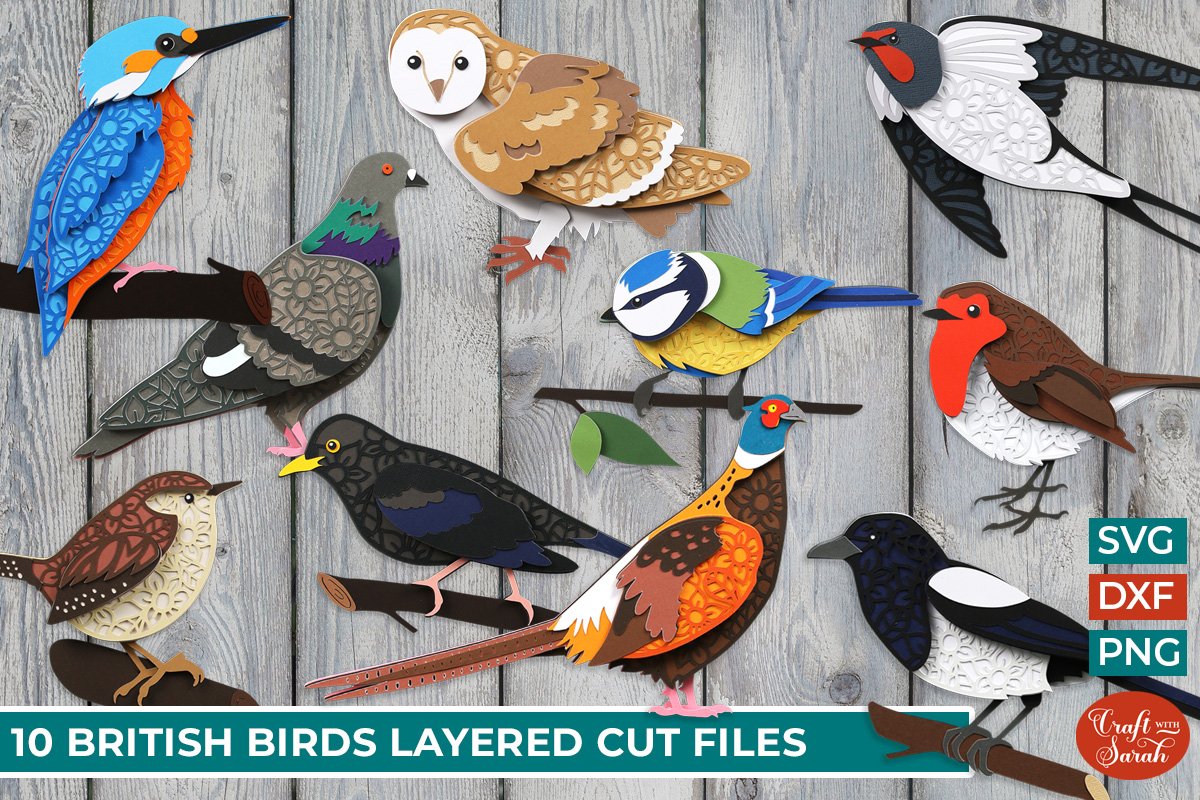 British Birds SVG Bundle | 10 3D Layered Bird SVGs
