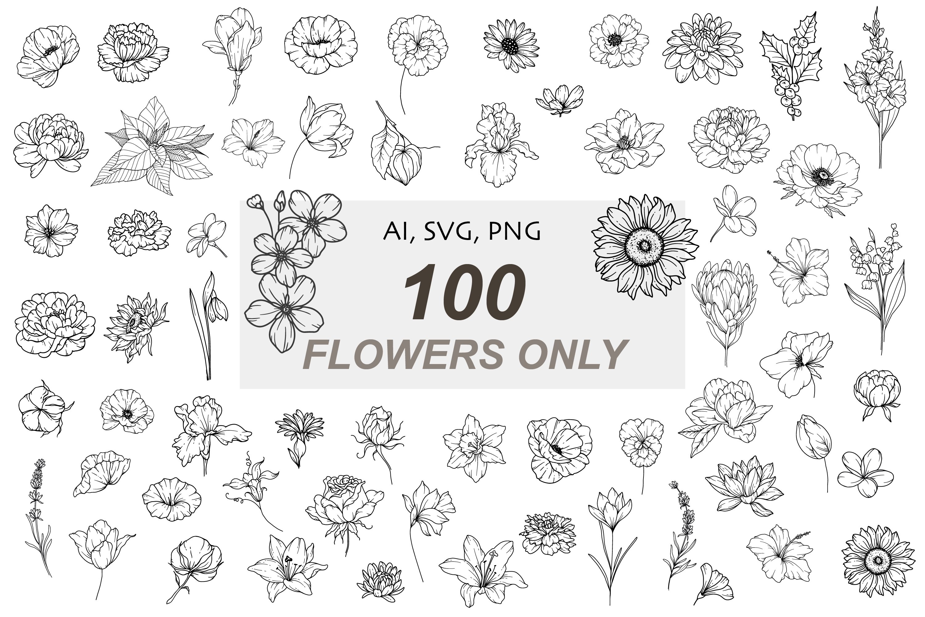 Flowers SVG, Floral Clipart SVG, Line Art Flowers Set