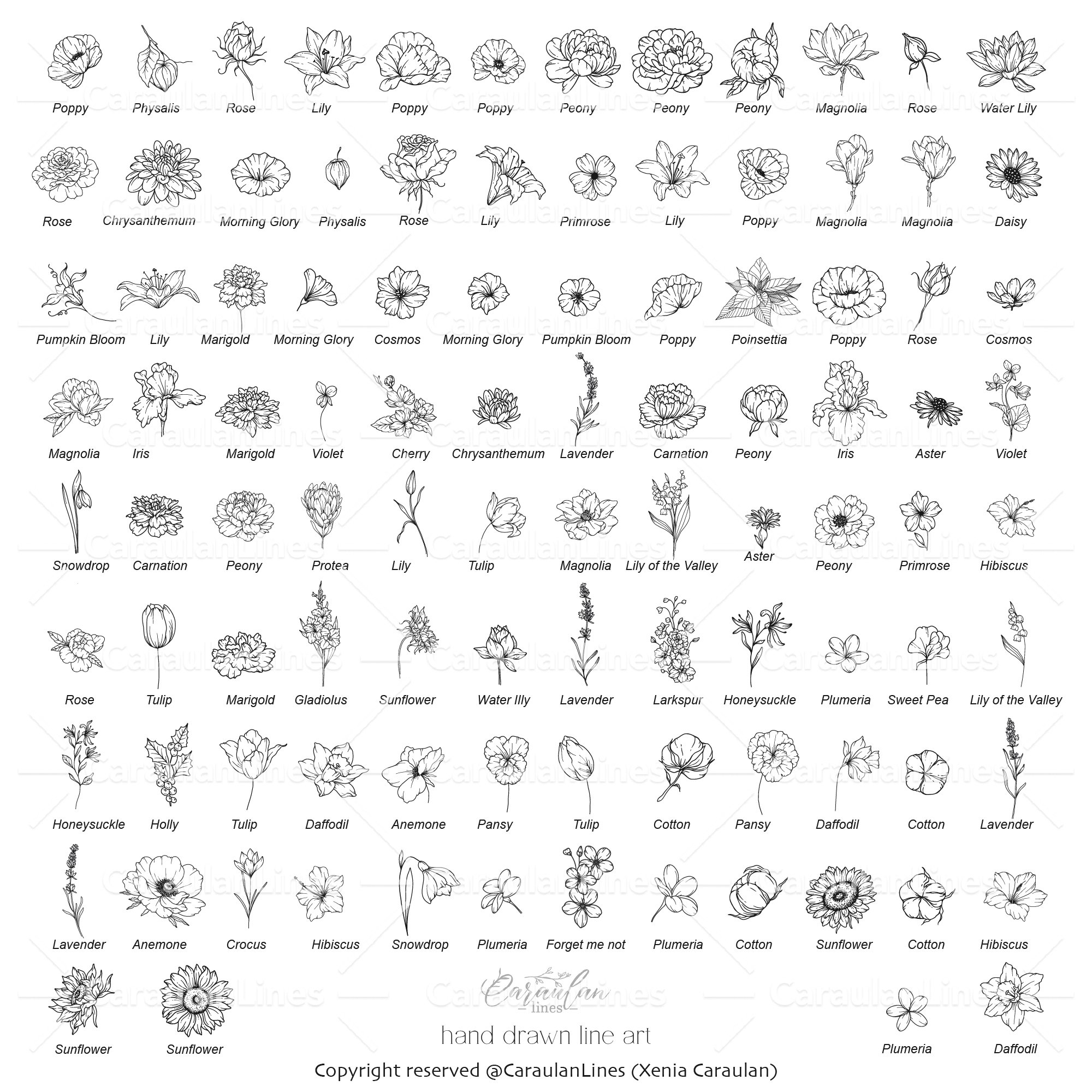 Flowers SVG, Floral Clipart SVG, Line Art Flowers Set 2