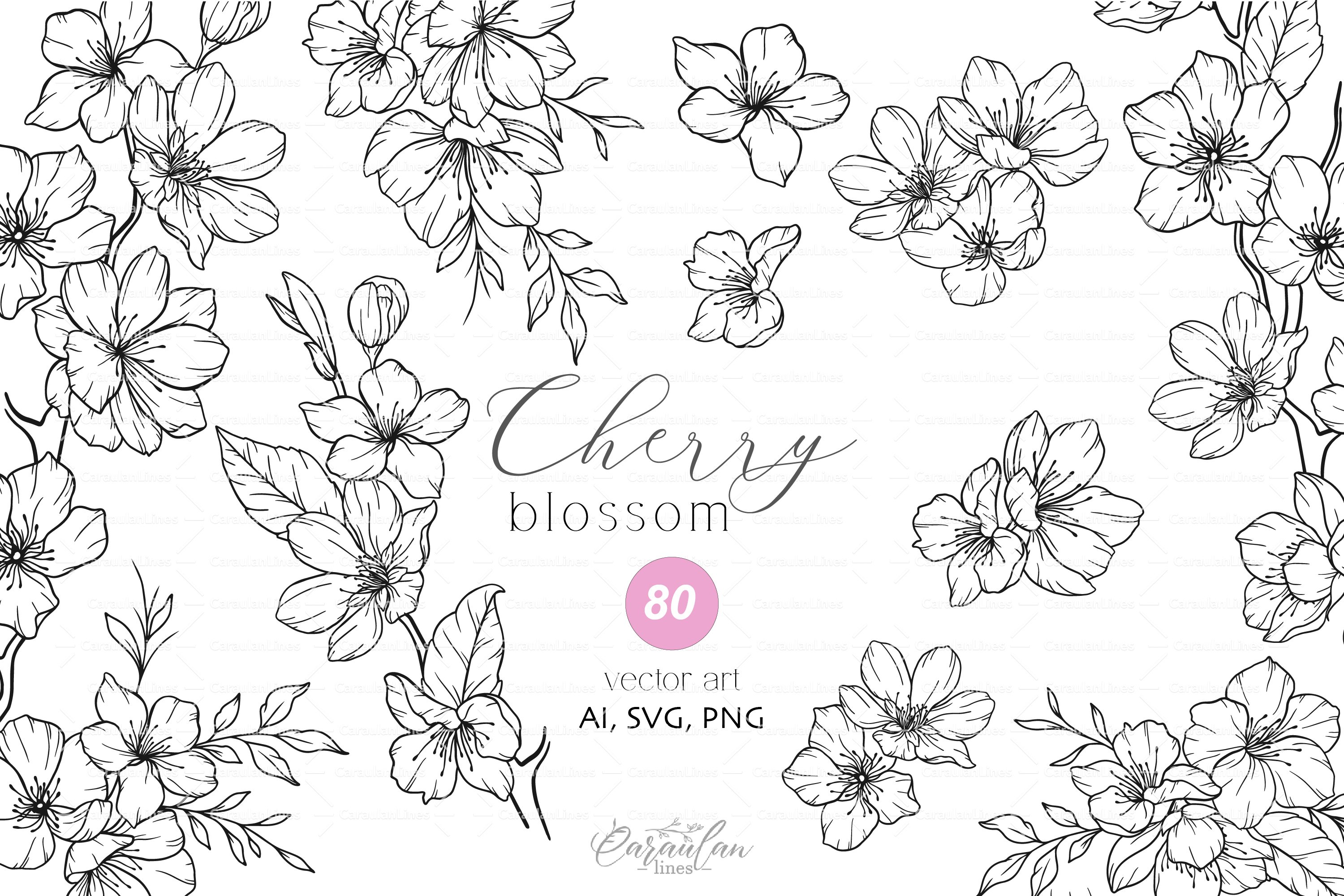 Cherry Blossom SVG, Floral Line Art Clipart