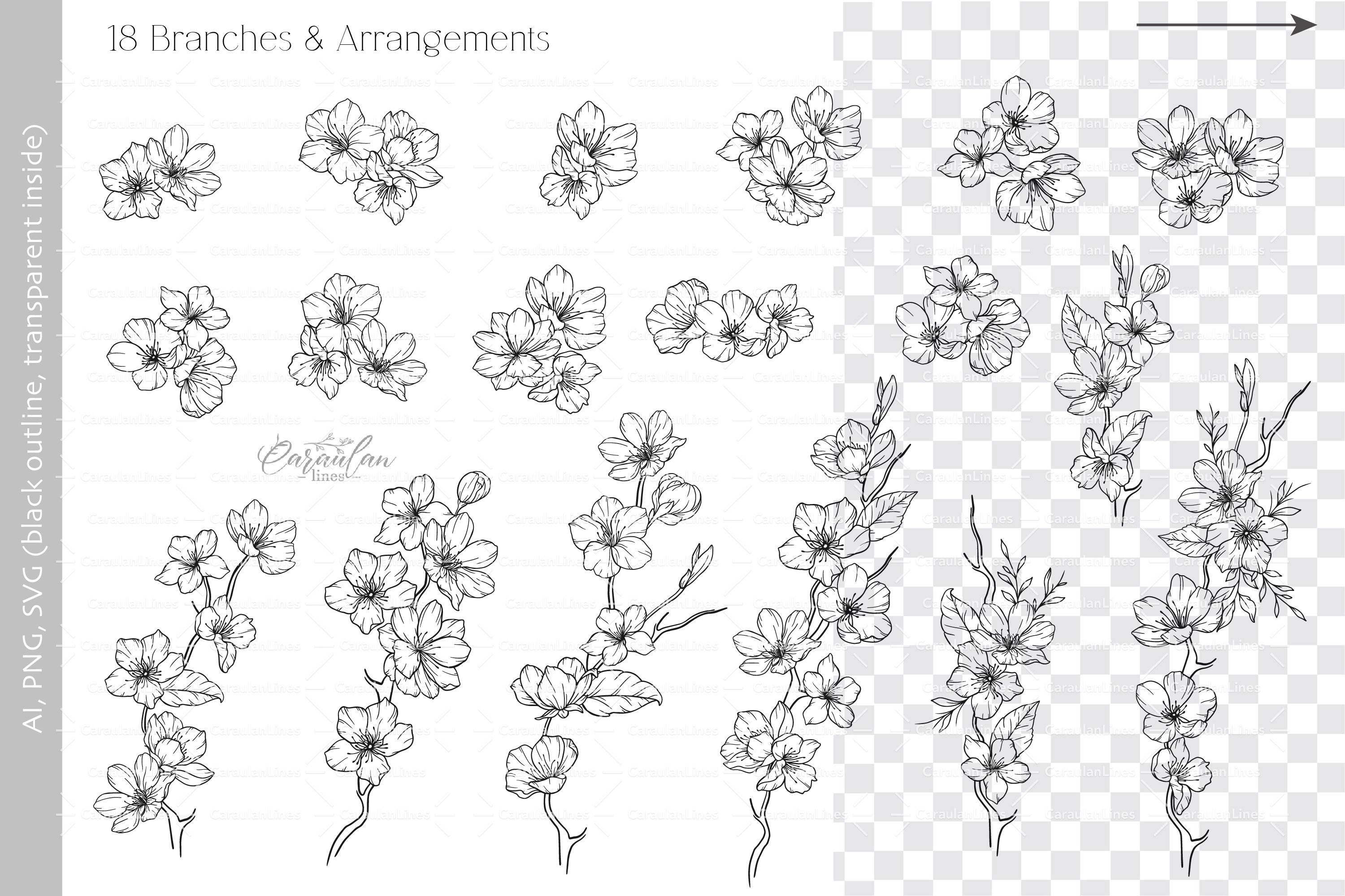 Cherry Blossom SVG, Floral Line Art Clipart 3
