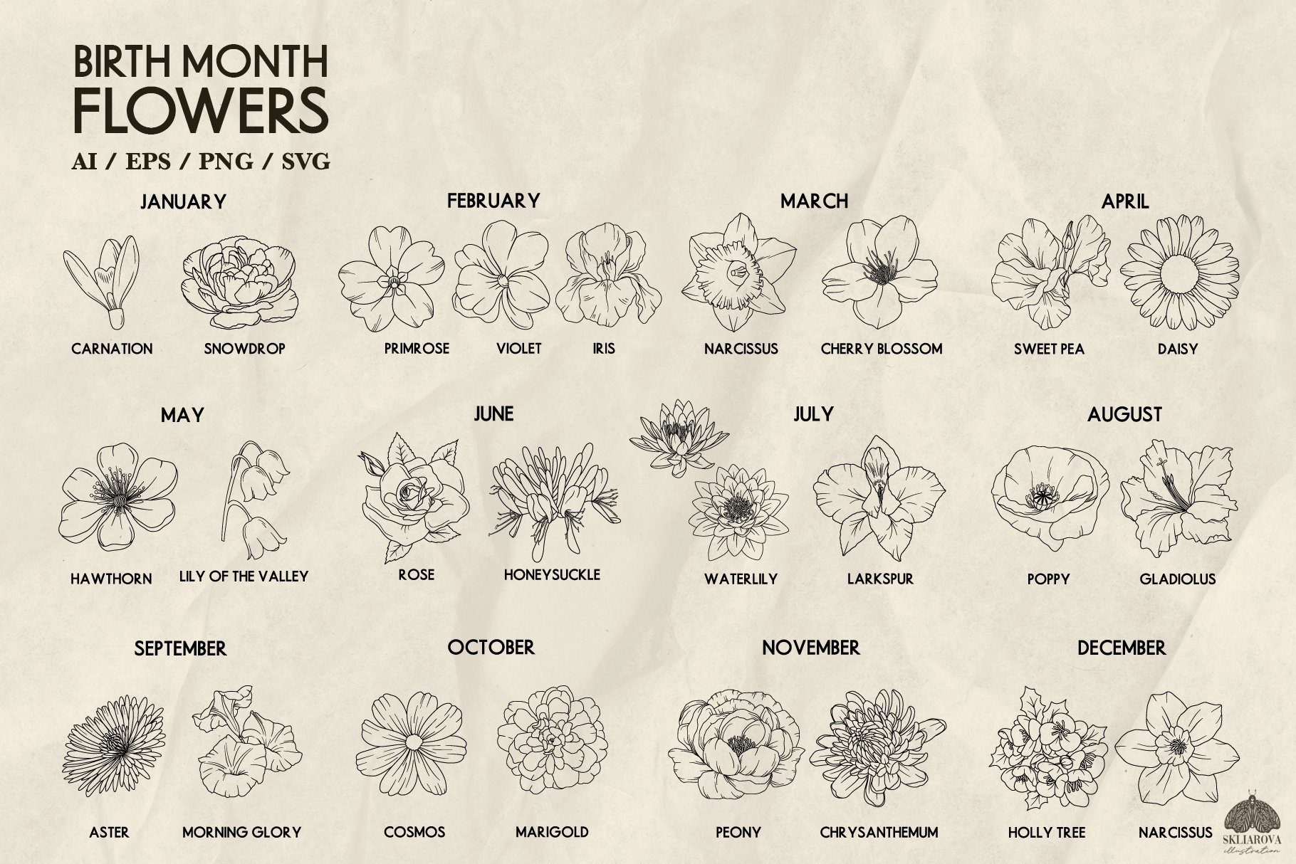 Birth Month Flower Bundle SVG PNG EPS 2