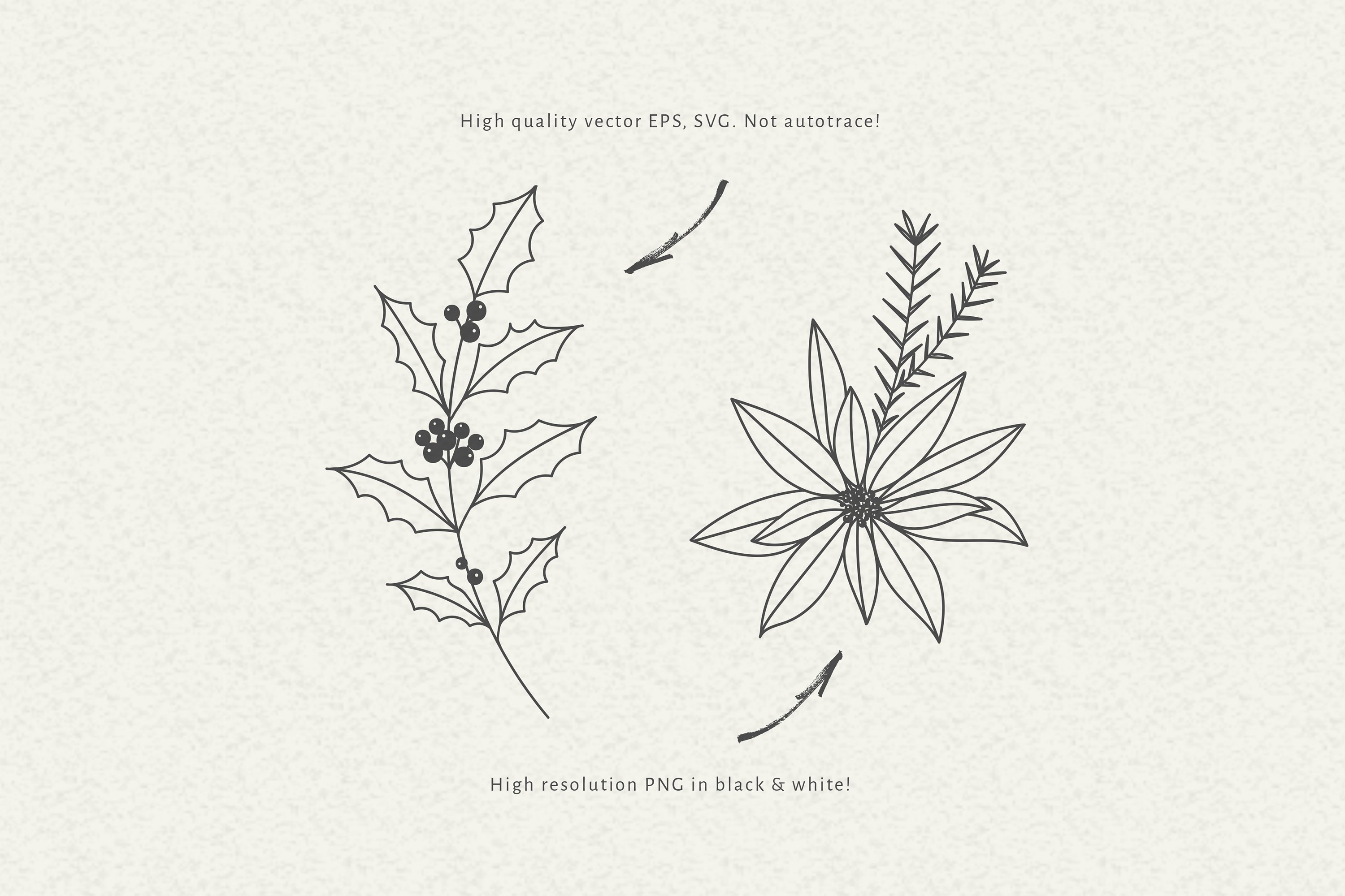 Christmas Floral Svg Bundle, Christmas Svg Clipart 2