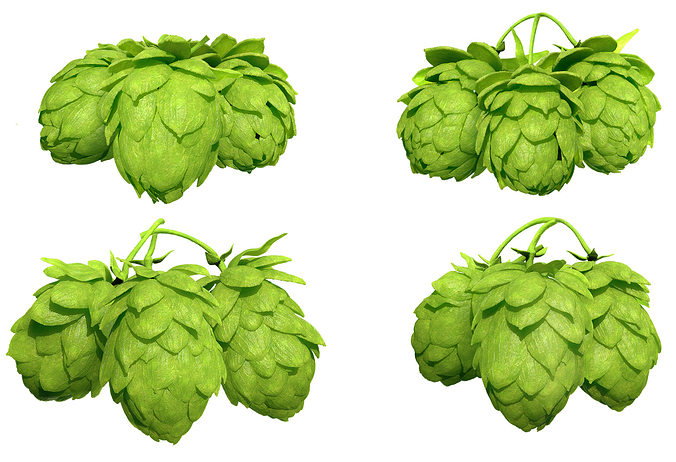 Hops 3d Models Package High Poly Photorealistic  3D model 3