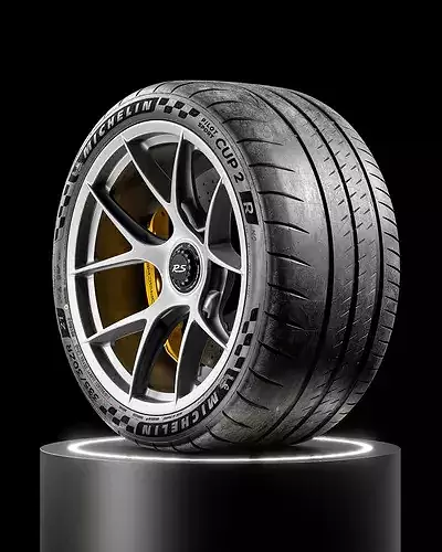 MICHELIN Pilot Sport CUP 2 R 335 30 R21 3D model