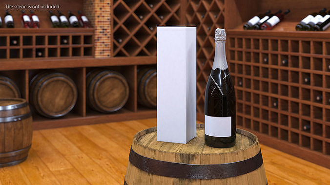 Champagne with Box 3D model