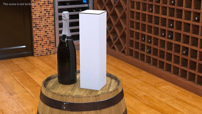 Champagne with Box 3D model 2
