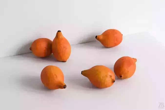 Achacha 3D model