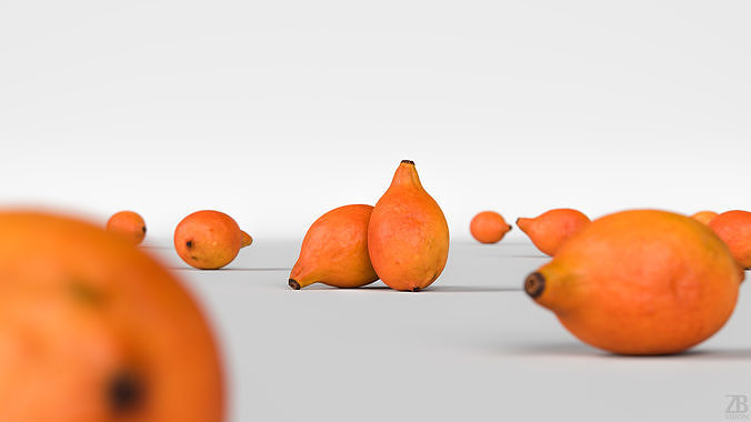 Achacha 3D model 2