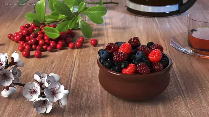 Bowl of Various Berries 3D model 2