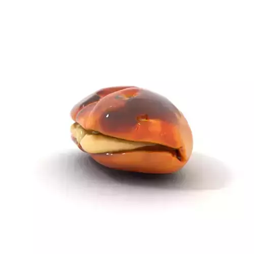 Golden Pastry Delight model pack Low-poly 3D model
