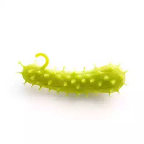 Spiky Green Cucumber model pack Low-poly 3D model 2
