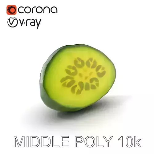 Cucumber Slice Detailed D Model Pack Low-poly 3D model