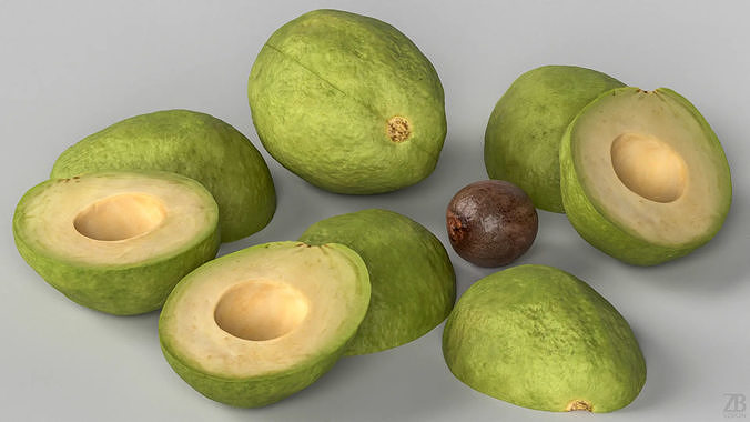 Avocado 3D model 3