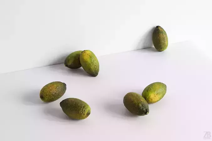 Lime 3D model