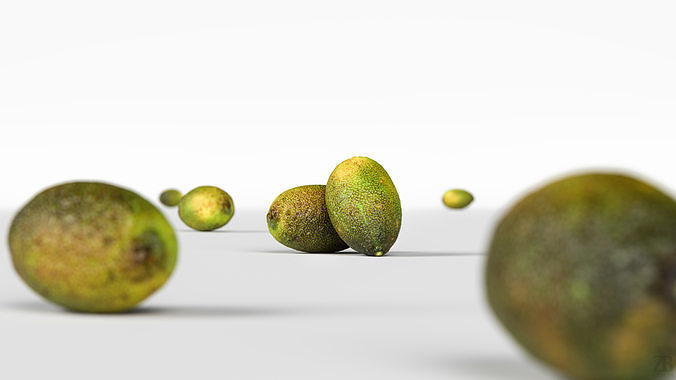 Lime  3D model 2
