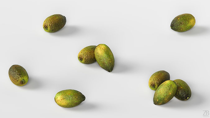 Lime  3D model 3