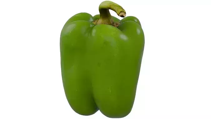 Green Bell Peeper 3D model
