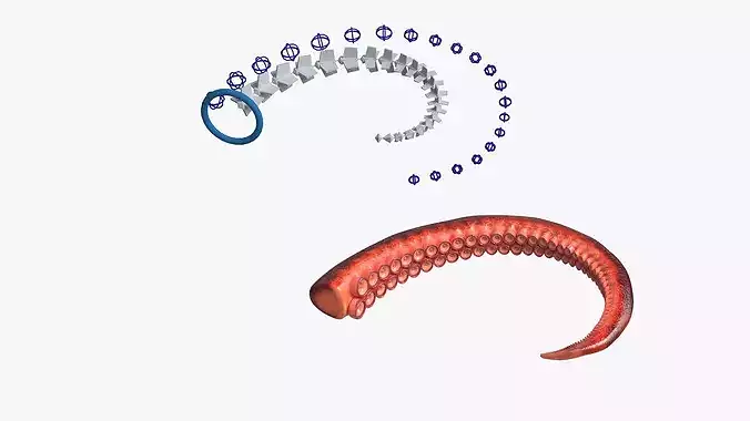 Natural Octopus Tentacle Marine Orange Rigged 3D model 3