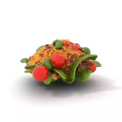 Vibrant Bulgur Salad model pack Low-poly 3D model