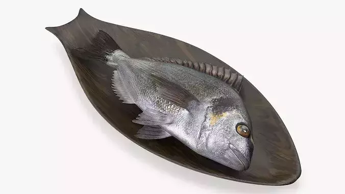 Gilthead Dorado On Wooden Plate 3D model