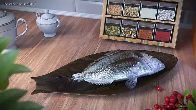 Gilthead Dorado On Wooden Plate 3D model 2