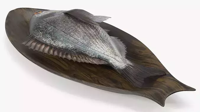 Gilthead Dorado On Wooden Plate 3D model 3