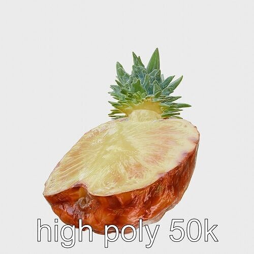 Exotic Pineapple Slice 3D model pack Low-poly 3D model 3
