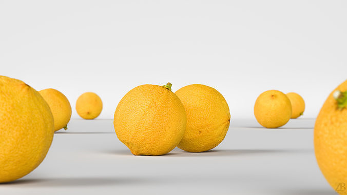 Bergamot 3D model 2