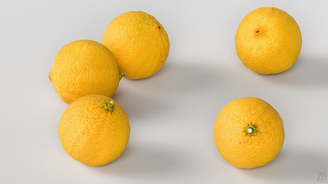 Bergamot 3D model 3