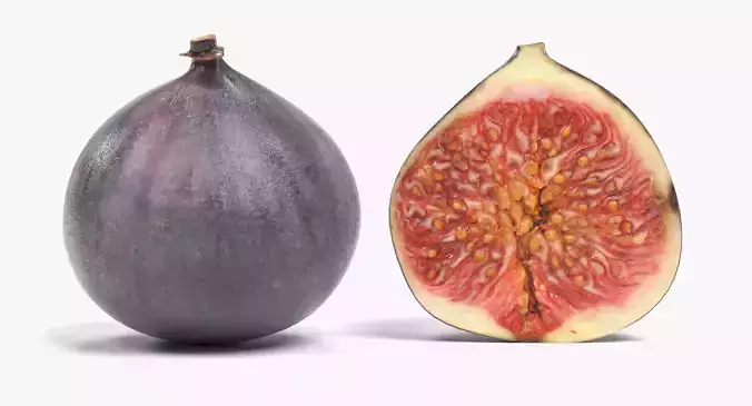 Figs - Whole and Half Fruit 3D model 2