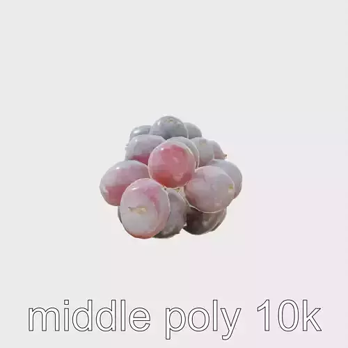 Realistic Purple Grape Cluster Model Low-poly 3D model