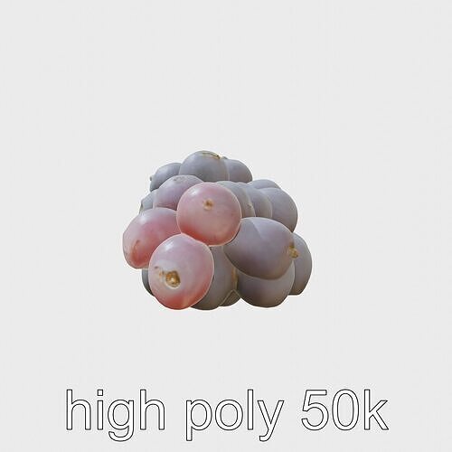 Realistic Purple Grape Cluster Model Low-poly 3D model 3