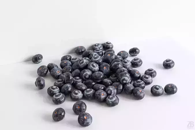 Blueberry 3D model