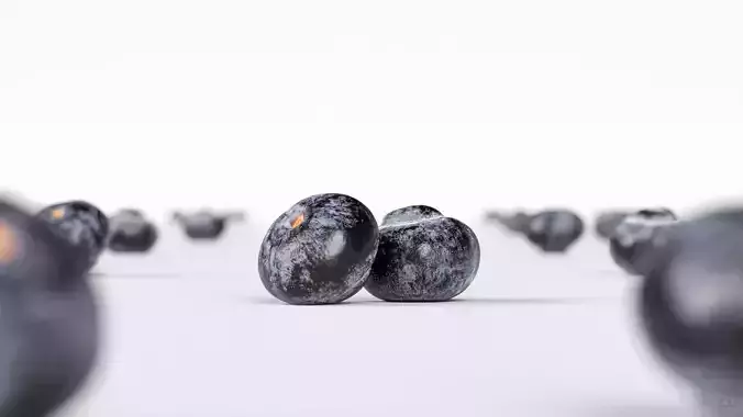 Blueberry 3D model 2