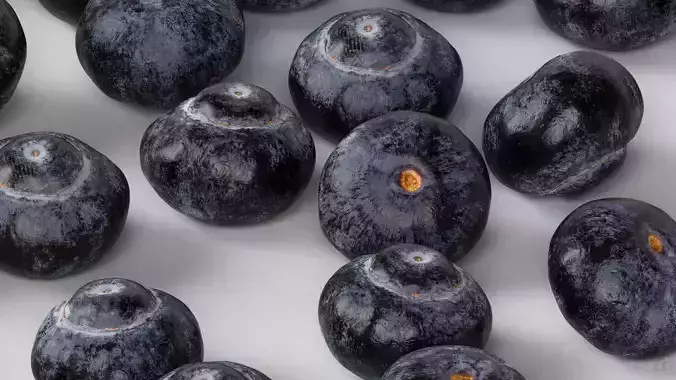 Blueberry 3D model 3