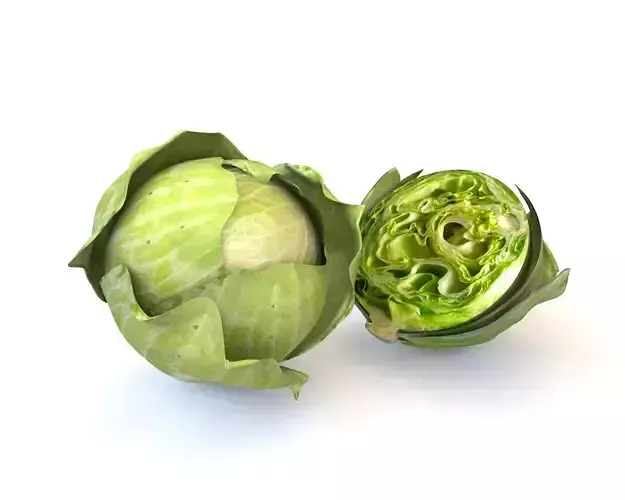 Vegetables 3d model collection Low-poly 3D model 3