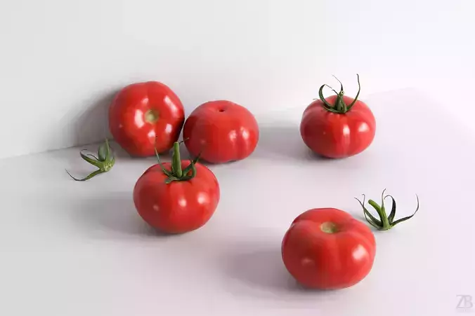Tomato 3D model