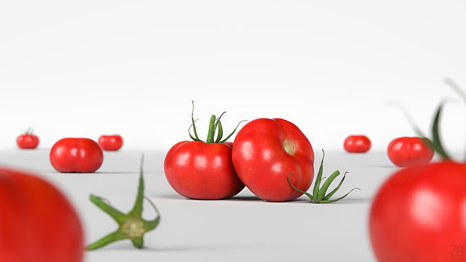 Tomato 3D model 2