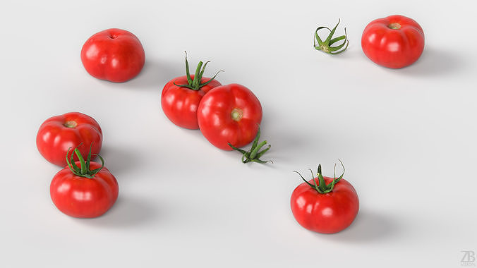 Tomato 3D model 3