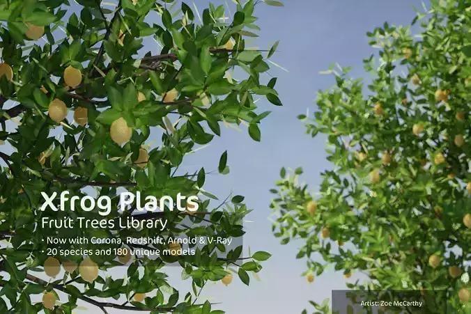 2020 XfrogPlants Fruit Trees Library 3D model