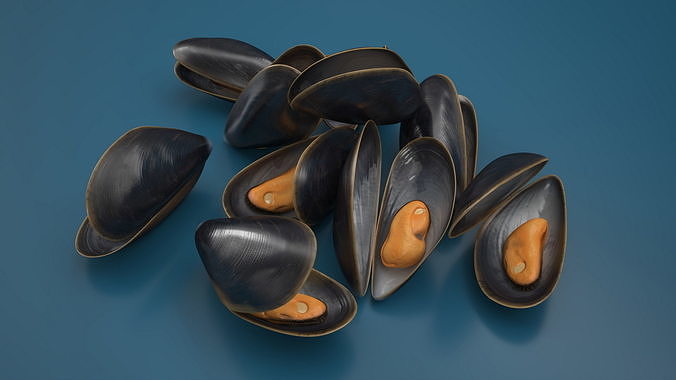 Pile of Boiled Mussels 3D model 3